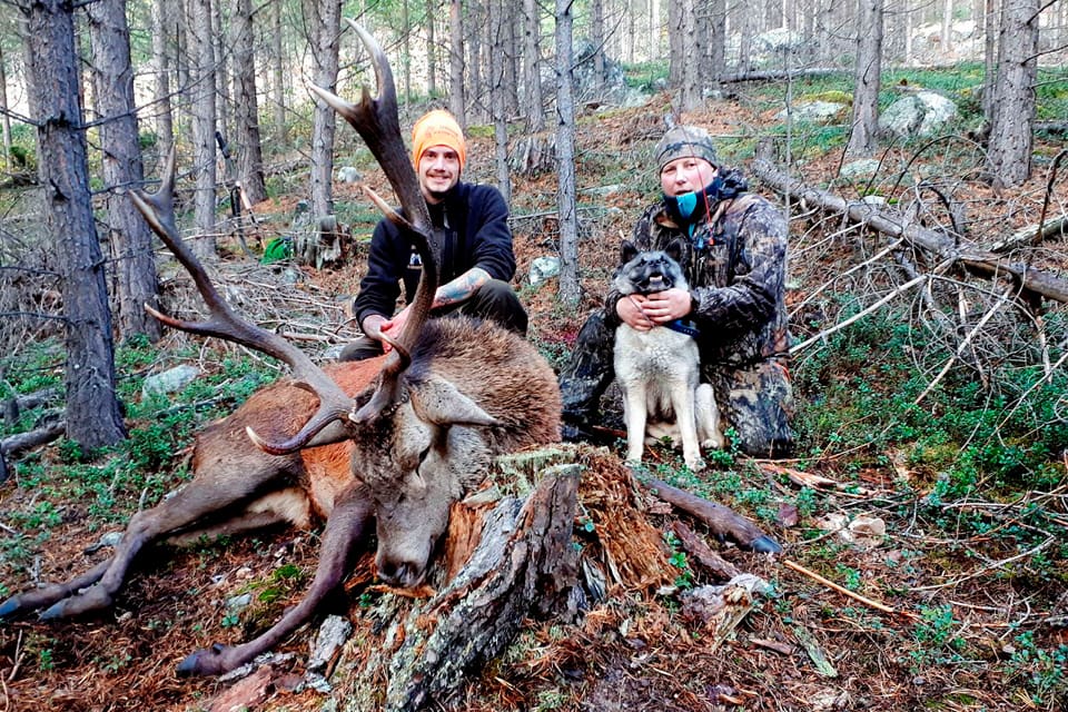 Thomas Eisar och Egil Rune Skogum sköt båda på den kapitala kronhjorten. Båda vill ha trofén. Båda är överens om att den som avlossade det dödande skottet ska få hornet. Men vem av dem sköt ”dödligt”? Nu ska en domstol avgöra tvisten som gjort trofén 100 000 kronor dyrare.