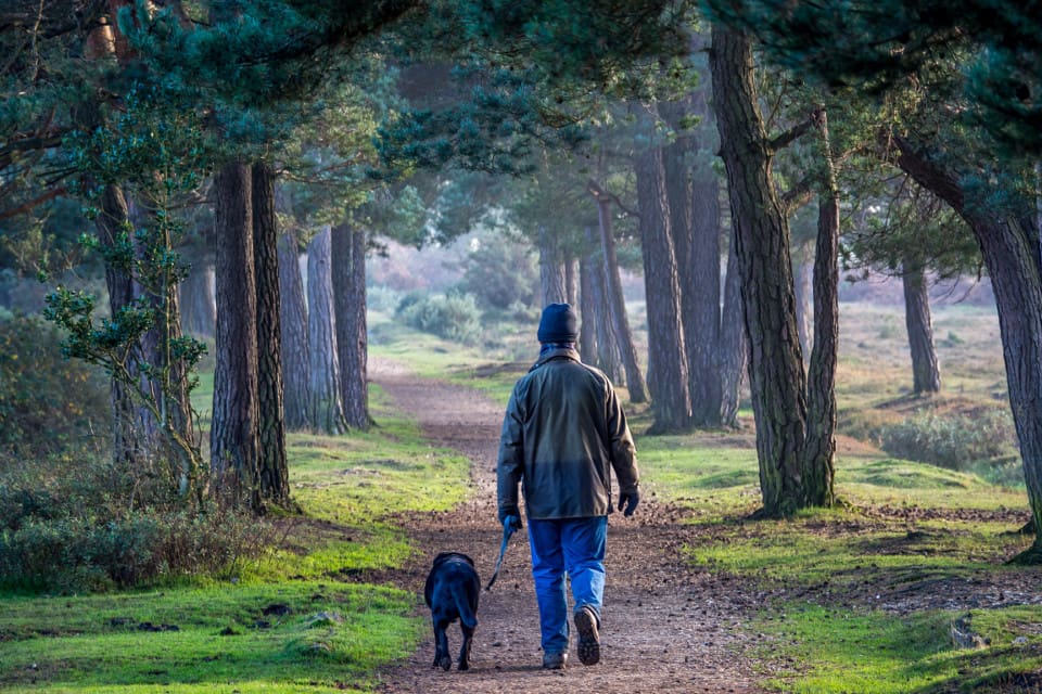 Som hundägare förväntas man varje dag låta hunden få utlopp för sitt rörelsebehov. Hunden ska också erbjudas mental stimulans.