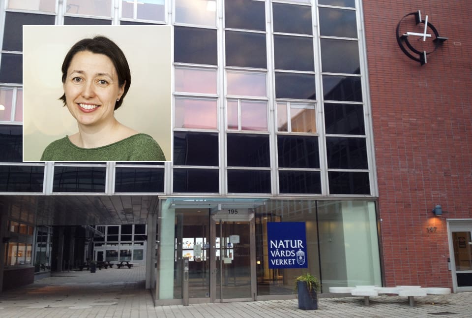 – Vi ser inte vid en sammantagen bedömning att det kan påverka verksamheten på ett sådant sätt som krävs för att vara en jävsituation, säger Gunilla Ewing Skotnicka, biträdande avdelningschef på Naturvårdsverket.