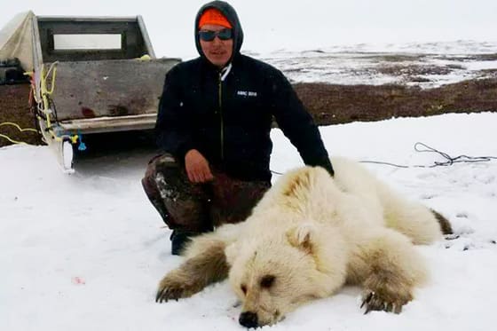 Den 25-årige jägaren Didji Ishalook sköt en hybrid mellan isbjörn och grizzlybjörn.