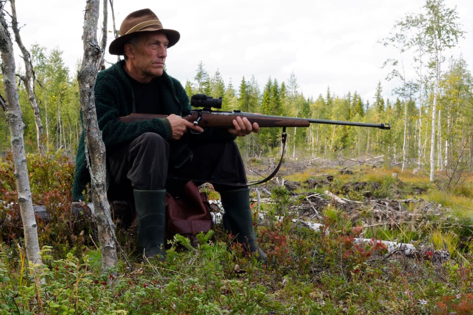 Det är stor skillnad på fällavgfiterna för älgar beroende på var i landet de fälls.