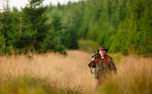 Antalet tyska jägare är i år dryt 7 000 fler än förra året, och är nu rekordmånga. (Arkivbild)