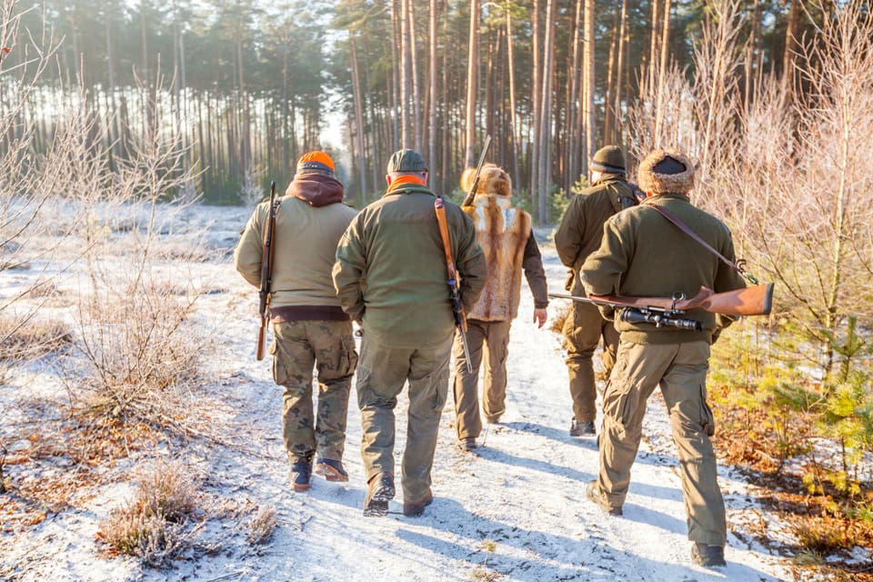Låt länsstyrelsens egna jägare sköta licensjakten på varg, föreslår Anne-Christine Engdahl i en insändare apropå kalabaliken med jaktsabotörer som försökt stoppa vargjakten i Kölstareviret i Västmanland.