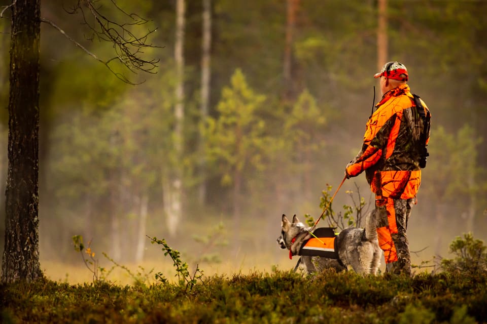 Två provledare från norra Sverige och en man i Gävle åtalas för att ha sålt jägarbevis till ett 40-tal personer som inte har avlagt jägarexamen.