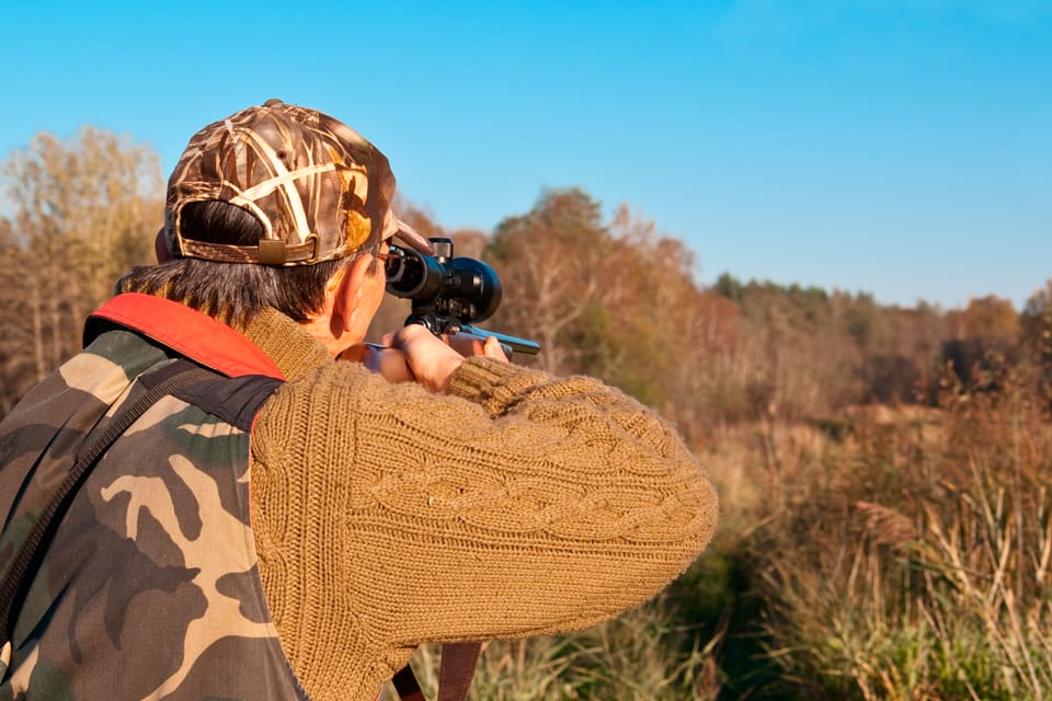 En jägare åtalas för att ha fällt en kviga på fel mark. Fyra personer till åtalas för jaktbrott respektive jakthäleri. (Arkivbild)