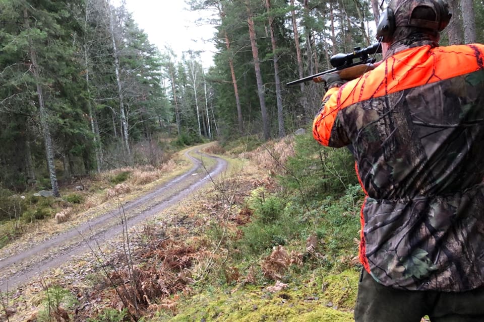 Jägarnas Riksförbund anser att den beslutade jaktkvoten, 25 björnar, under licensjakten på björn i Västerbotten är alldeles för låg.