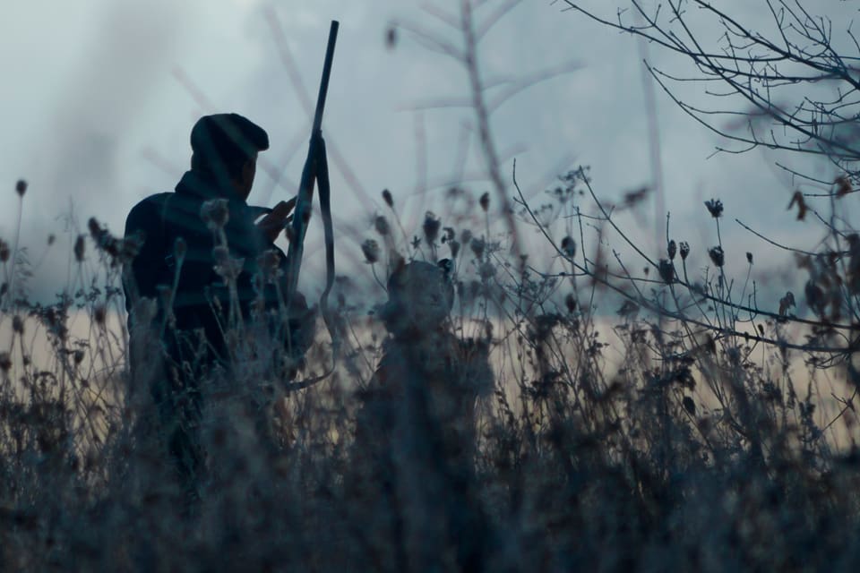 Enligt EU-kommissionen ska blyförbudsfrågan utredas i år. Ett förslag om restriktioner ska sedan komma inom ett år. Det kan ge ett totalförbud mot all blyammunition både för jakt och skytte.