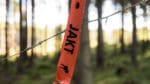 Statskog och de ansvariga för fjällområdena erbjuder gratis jakt till förstagångsjägare i höst.