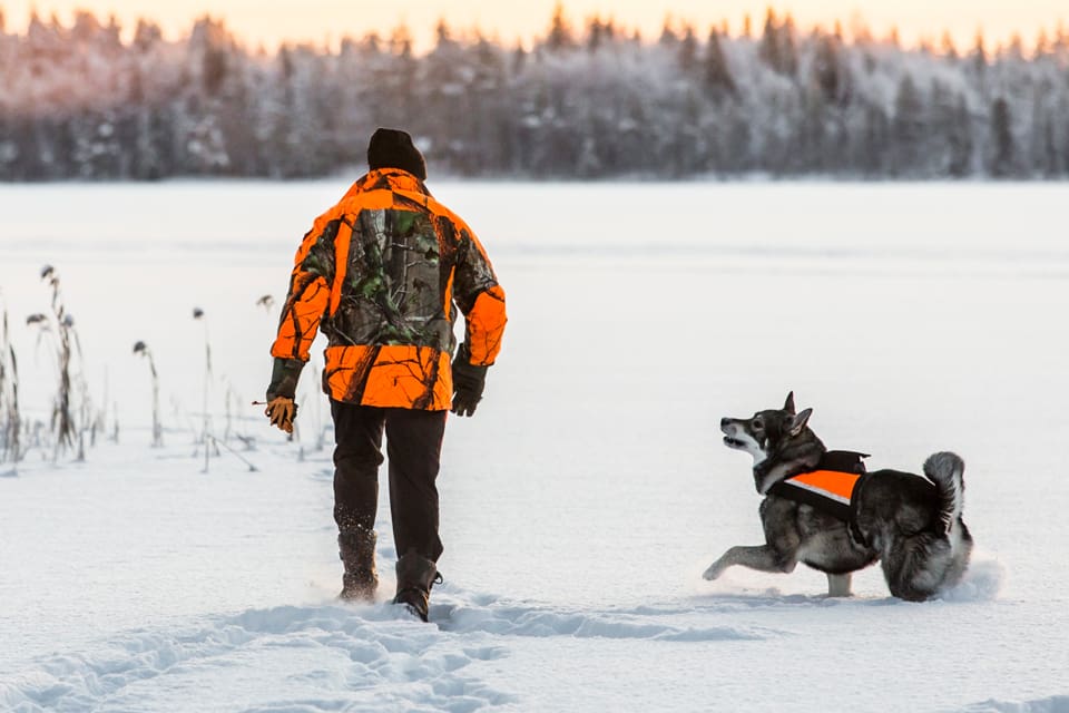 De som äger jakthundar i Finland mår bättre än befolkningen i övrigt, enligt en frågeundersökning.