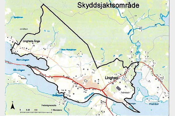 Eftersöket på den skadskjutna vargen i byn Linghed i Dalarna har avslutats. Svaren om DNA-proverna på en blodfläck och en blodig benbit har inte kommit än.