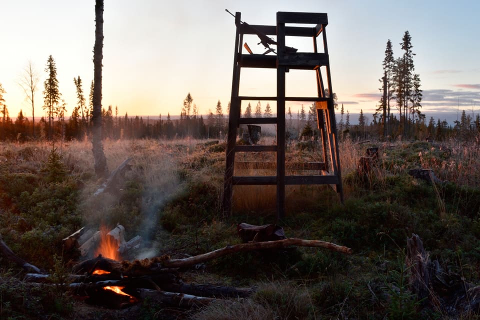 Vad är det som gäller för jakttorn på marken och röjning för att underlätta jakt? Det nya jakträttsavtalet från JRF balanserar mellan markägaren och de som har fått jakträtten för att skapa en så friktionsfri relation som möjligt.