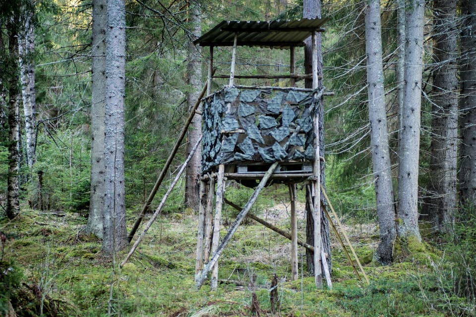 Flera jakttorn i Kronobergs län har under de senaste veckorna förstörts av vad polisen misstänker är djurrättsaktivister.
