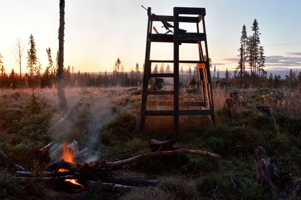 I Tyskland har jakttorn saboterats under en längre tid. Nu har ytterligare 16 jakttorn förstörts.