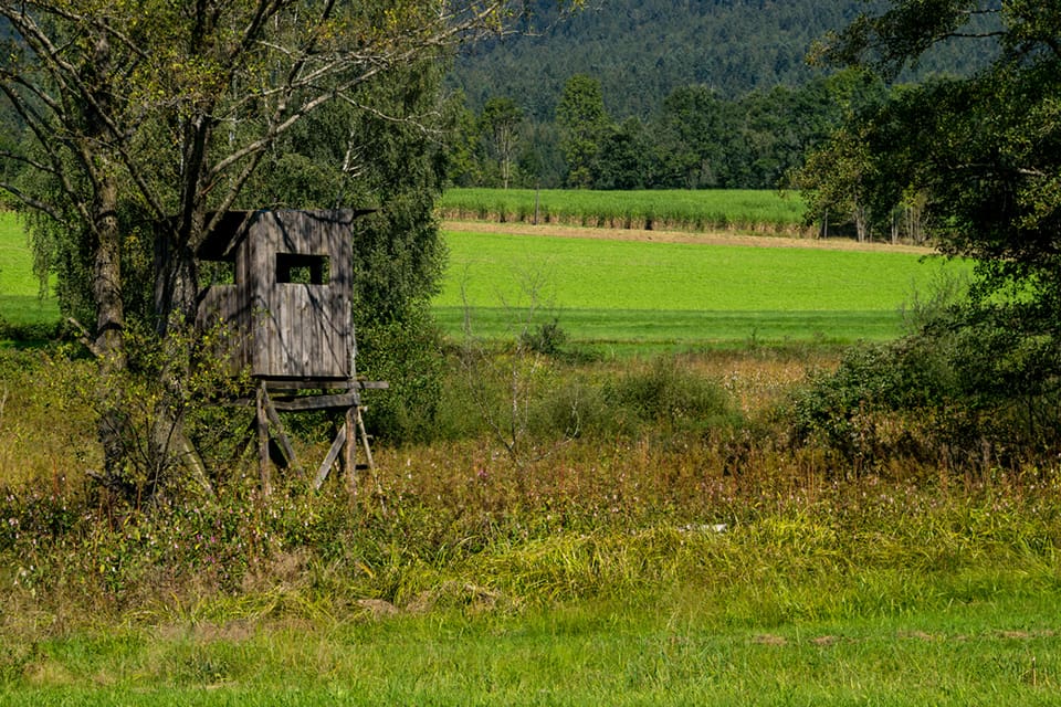 En tysk jägare dog efter att ett jakttorn blåst omkull över honom.