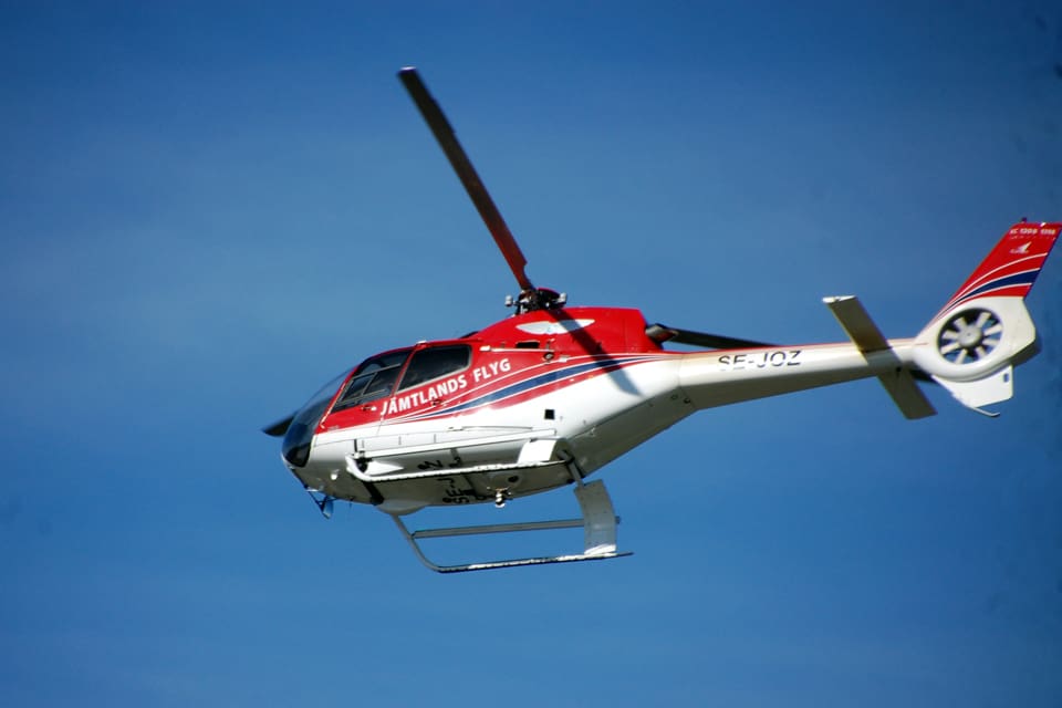 Först när de tre jakthundarna backade undan sedan helikoptern gått ner på ännu lägre höjd blev det skottläge för en grovhagelsalva. Därmed var den första av de tre vargarna hos Tåssåsens sameby avlivad. (Arkivbild)