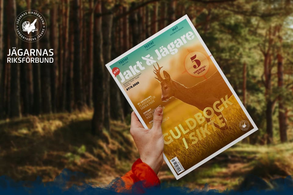 Läs sommarens dubbelnummer av Jakt & Jägare gratis på webben.