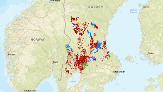 Bergvik Skog Väst vet nu vilka marker som tas över av vilka bolag.