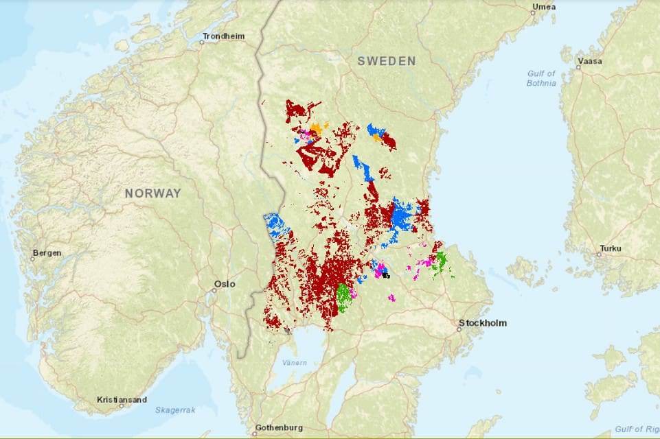 Bergvik Skog Väst vet nu vilka marker som tas över av vilka bolag.