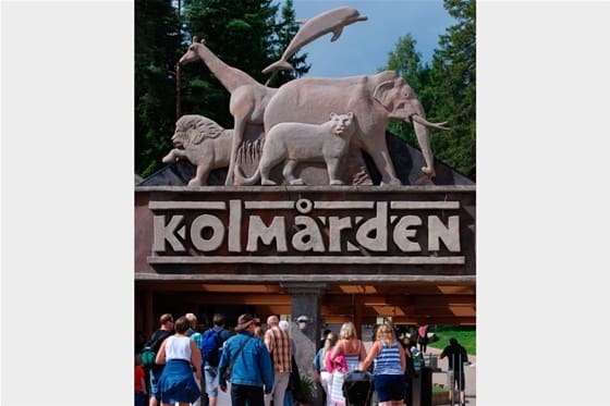 Rättegången om den vargdödade djurskötaren beräknas pågå i tio dagar, Åklagaren vill att bolaget och förre zoologiske chefen vid Kolmårdens djurpark döms som anvariga.