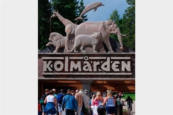 Den bakomliggande orsaken till olyckan i varghägnet är enligt åklagare Jan Olov Andersson att det inte gjorts någon riskbedömning av arbetsplatsen.