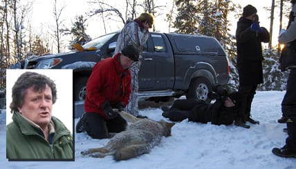Vargjakt – aldrig i livet, skriver Jakt & Jägares Mikael Moilanen. Han varnar för att allmogens löshundsjakt är hotad i hela Mellansverige. Dessutom vill han inte mordhotas av extremister och hånas och förlöjligas i de etablerade medierna. Här ses Mikael Moilanen infälld i den bild Anna Jansson tog vid den första vargjakten och som vann J&J:s fototävling.