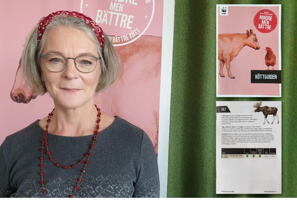 Anna Richert är ansvarig för Köttguiden från Världsnaturfonden WWF.
