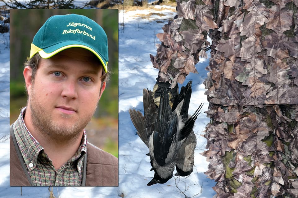 JRF-konsulenten Jens Gustafsson är kritisk mot flera inslag i Naturvårdsverkets förslag om fågeljakten – främst slopad vårjakt på kråkfåglar som gör att de kan härja fritt i kullarna av småvilt.