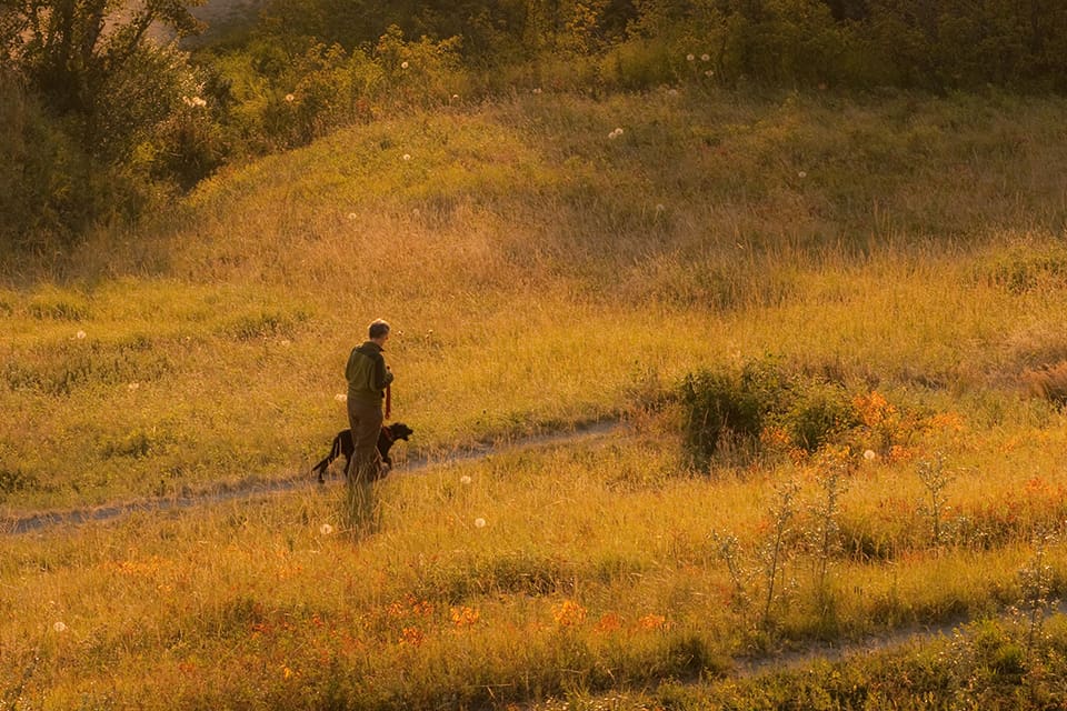Den jägare som förra helgen hotade en kvinna som promenerade med hundar på en skogsväg har fått sina jaktvapen omhändertagna av polis. (Arkivbild)