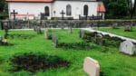 Vid Vårdinge kyrka i Södertälje kommun har vildsvinen skövlat på kyrkogården. Elstängsel har satts upp för att stoppa härjningarna. I Norrtälje kommun är i sin tur potatisodlare och villaägare hårt drabbade av vildsvin.