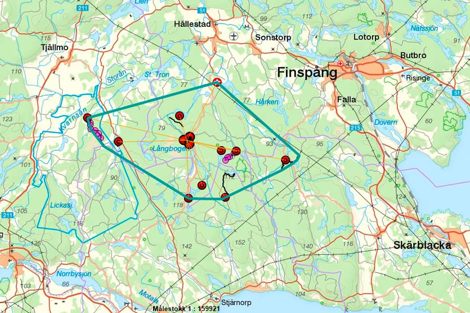 I vargreviret Långbogen i Östergötland visar DNA-analyser att det finns minst fem valpar, två hannar och tre tikar. Eventuellt kan det även vara en sjätte valp.