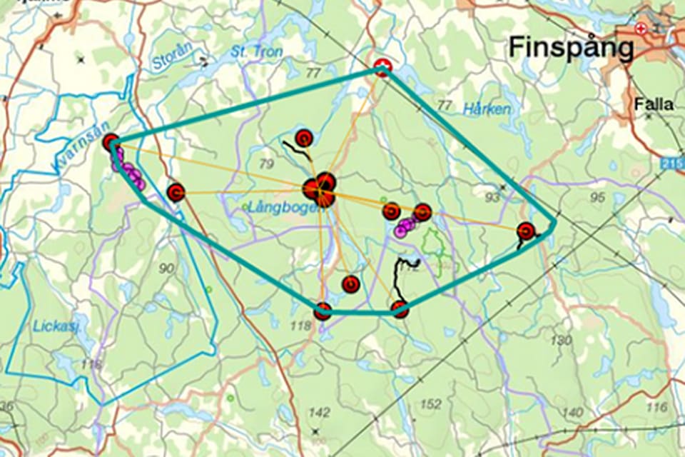 Vargparet i Långbogenreviret I Östergötland har fått en ny valpkull i år. Det avslöjades sedan en död vargunge lämnats in till länsstyrelsen.