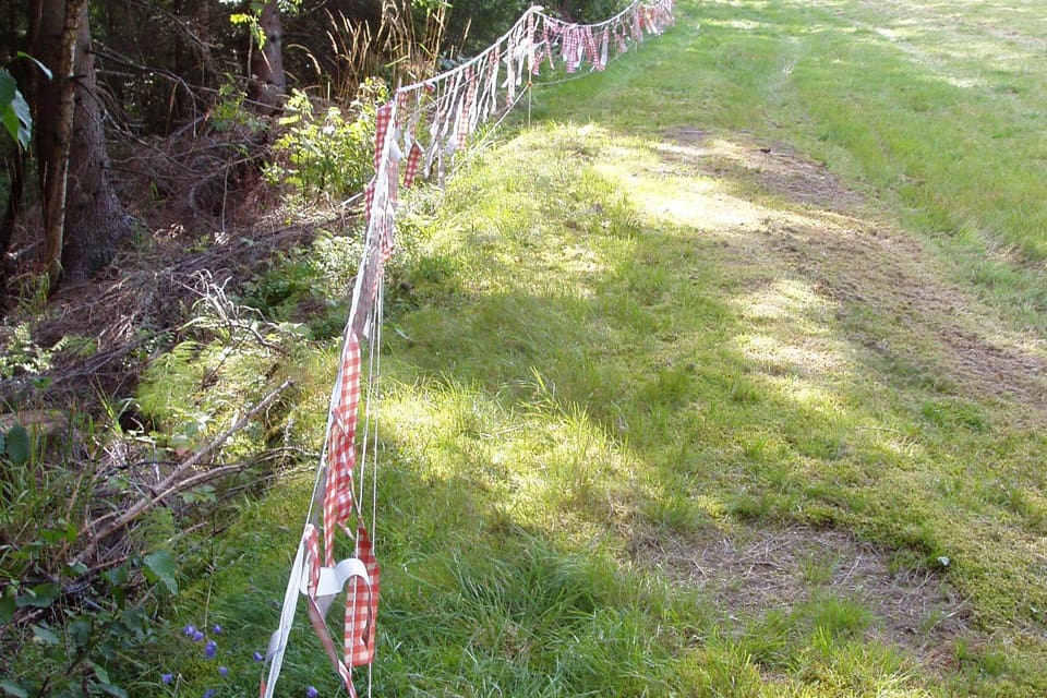 Länsstyrelsen i Södermanland har satt upp lapptyg som akutåtgärd efter att fem får dödades efter ett vargangrepp mot en hage sydväst om Strängnäs natten mot söndagen. Det kan vara varg från Ärlareviret som attackerat får igen. (Arkivbild)