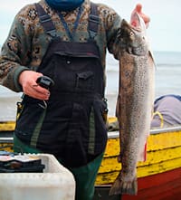 För att ha en bättre fördelning och kontroll av laxfisket föreslår Havs- och Vattenmyndigheten en utfasning av laxfisket till havs.