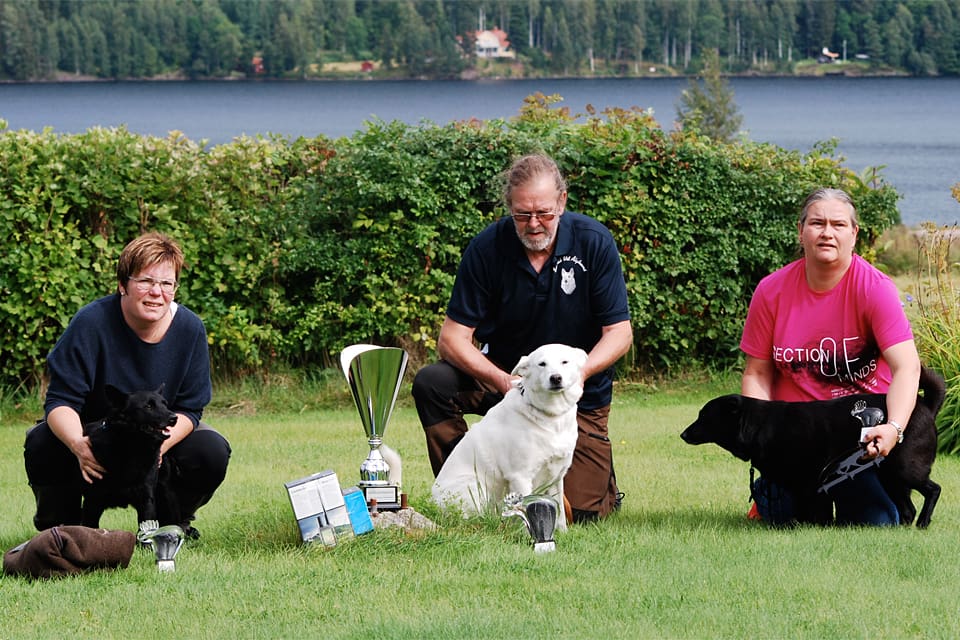 Vinnartrion i Ledhunds-SM som avgjordes den 7 augusti.