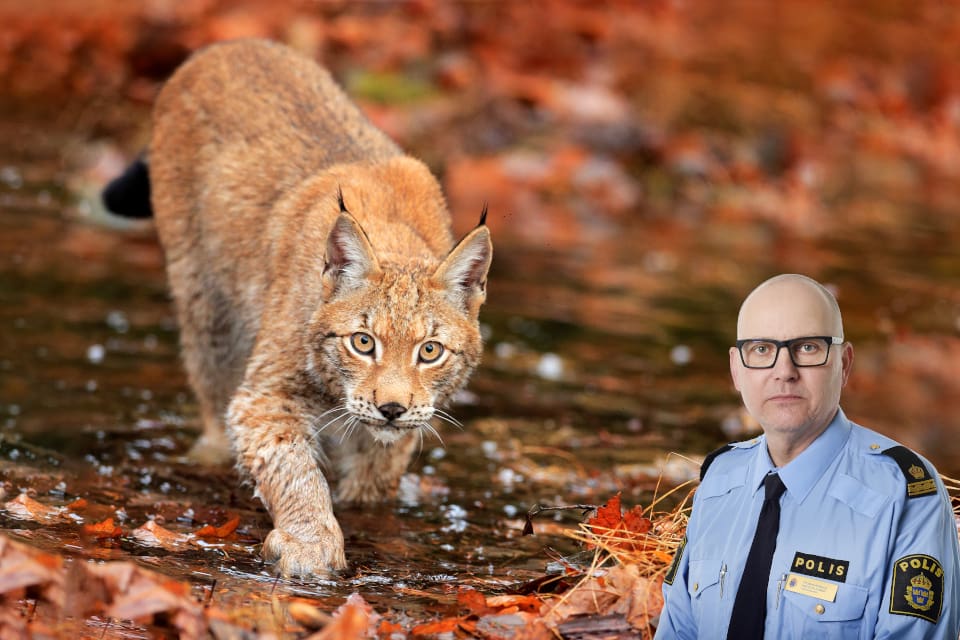 – Vi ska försöka se om vi kan hitta några spår, säger presstalesperson Thomas Agnevik vid polisregion Öst.