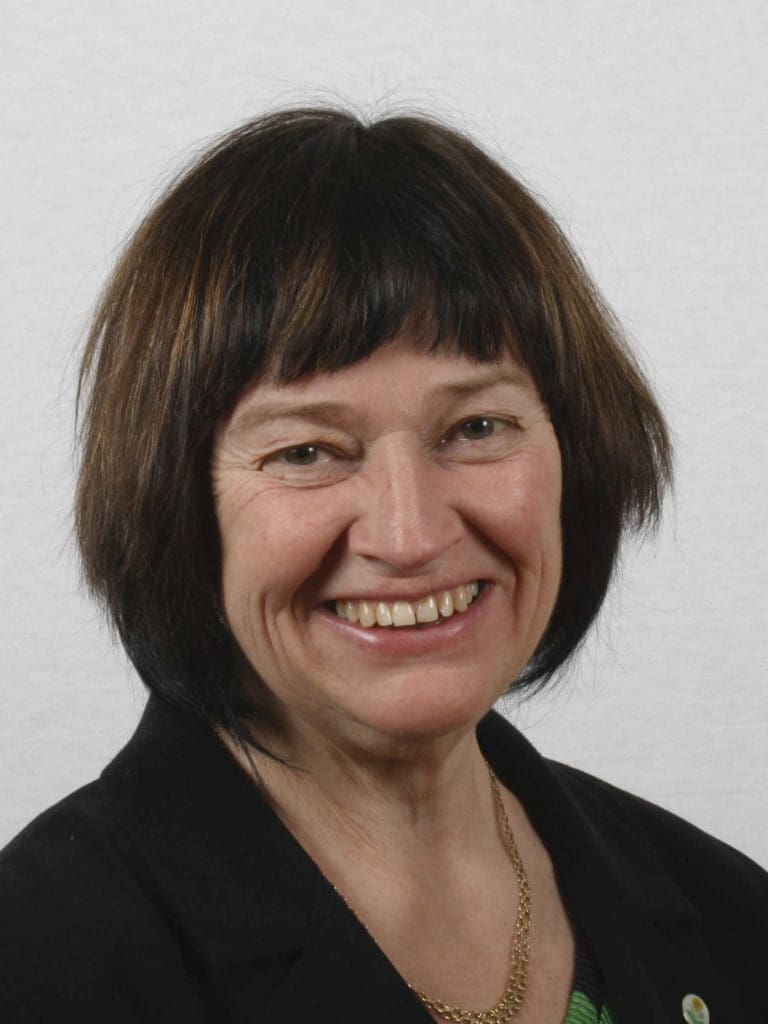Ann-Catrin Lofvars är ordförande i Miljöpartiet Dalarna.
