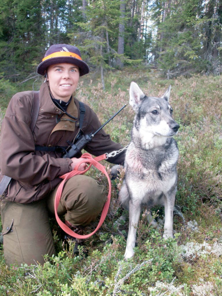 Jaktfientliga grupper driver en kampanj mot jakt med hund. Men sanningen är att jakt med löshund leder till färre skadskjutningar.