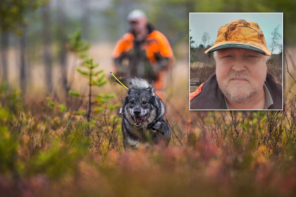 Naturvårdsverket och länsstyrelsen kommer att utrota ett kulturarv, eftersom de inte verkar se helheten och effekterna av utebliven rovdjursförvaltning, skriver Benneth Thyr.