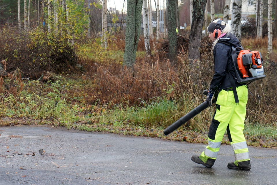 Malmös gatukontor kan även sätta lövblåsare i händerna på kommunens skyddsjägare för att skrämma ut minkar framför gevärsmynningen.