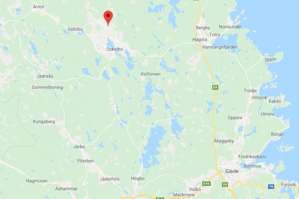 Rådjursjakten pågick mitt i Mo, ganska nära bebyggelse, när drevern blev attackerad av ett rovdjur och jägarna hörde den skrika till.