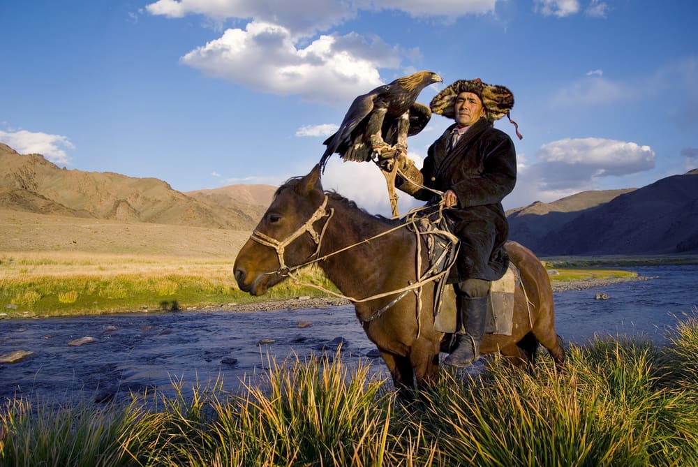 Mongoliska jägare använder kungsörn och jagar bland annat varg med.