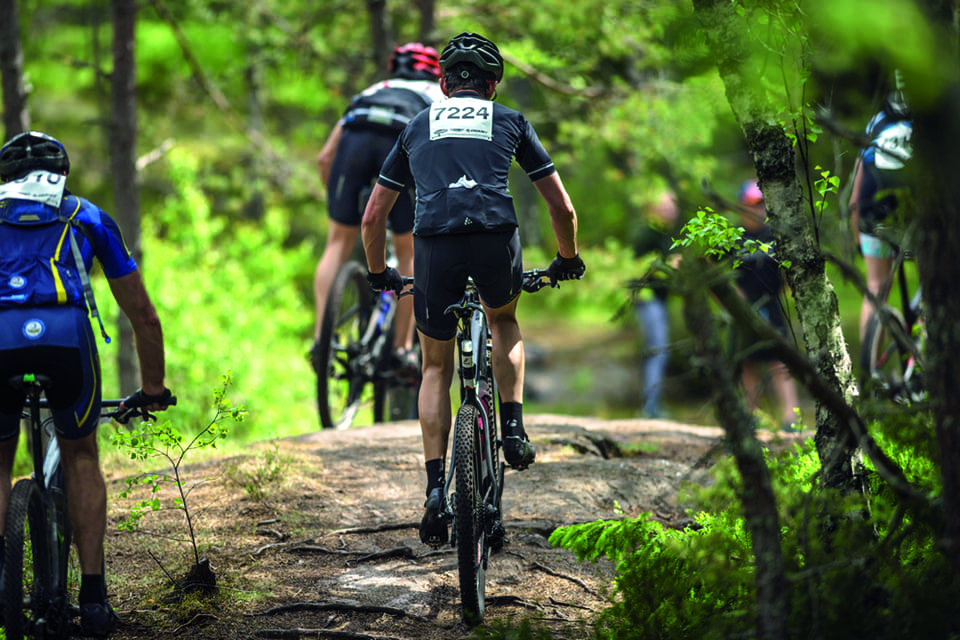 En cyklist som deltog i ett mountainbike-lopp utanför Eskilstuna slogs av cykeln av en man med ett hagelgevär. (Arkivbild)
