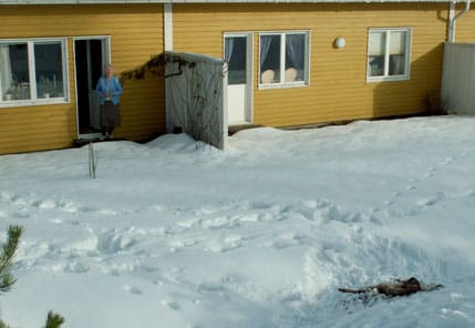 Ingrid Wikströms uteplats blev en skådeplats för kampen att överleva i naturen. Nu jagar lodjuren till och med de rådjur som flytt in till bebyggelsen.