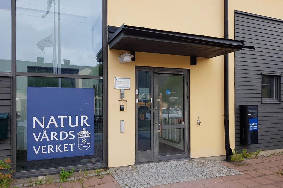 I augusti tilldelade Naturvårdsverket Mårdhundsprojektet ett första uppdrag – att bekämpa invasiva främmande ryggradsdjur på land.