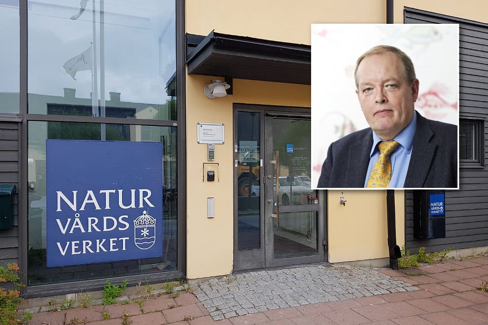 Björn Risinger sitter kvar som generaldirektör på Naturvårdsverket till och med den 31 oktober 2024.