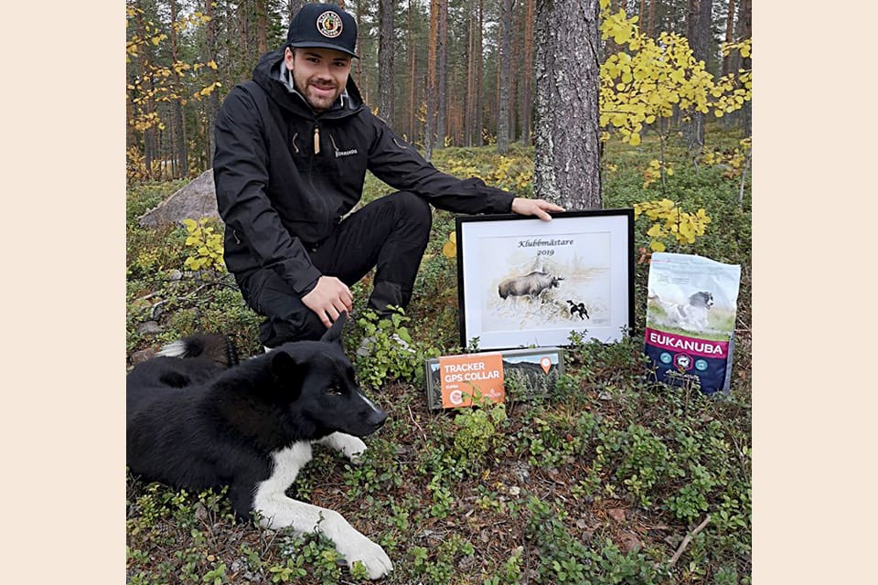Karelaren Nix, med ägaren Edvin Nordström från Örnsköldsvik, segrade i älgmarkerna utanför Skellefteå i Karelarkampen, Svenska björnhundklubbens rasmästerskap.