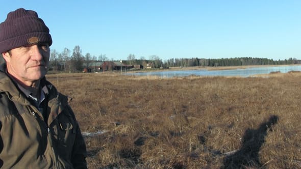 Walter Preiholt vid betesmarken där länsstyrelsen nu vill dra in miljöstödet, eftersom marken betas för dåligt. När vargen kom till byn blev familjen tvungen att slakta ut fårbesättningen.