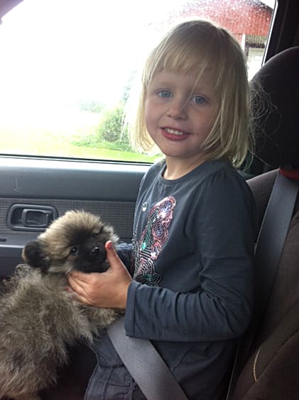 Olivia på väg hem till Ockelbo med en valp i knät. När det blev känt att en varg tagit hennes hund Stella började en insamling via Facebook. Därmed kunde familjen köpa en valp till Olivia.