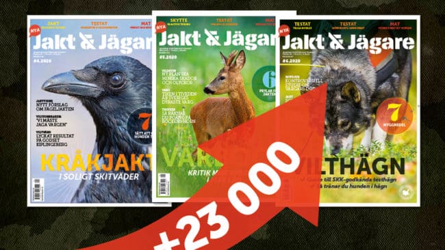 Jakt & Jägares pappersupplaga har ökat mest i räckvidd i år, jämfört med de övriga jakttidningarna i Orvesto-mätningen. Det blev ett lyft på 23 000 fler läsare till 75 000.