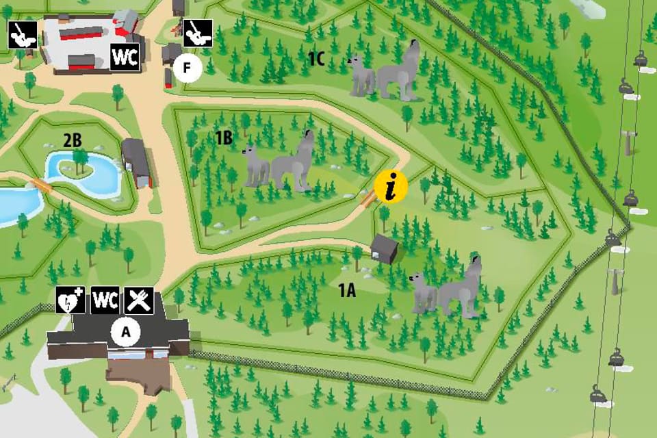 Stängslet har bland annat fått plexiglasskivor för att en varg inte ska kunna rymma igen från Orsa rovdjurspark, som därmed får godkänt av länsstyrelsen sedan en vargrymling avlivades i december.
